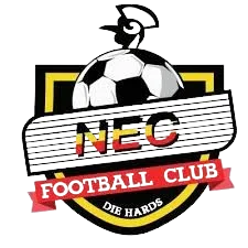 ناشيونال انتربرايس